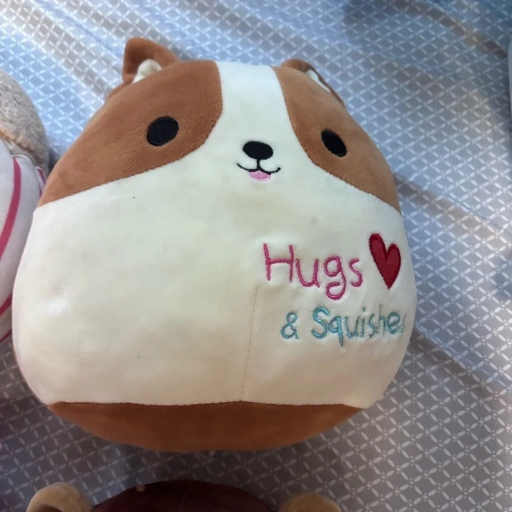 Squishmallow bundle Plush stuffed animals